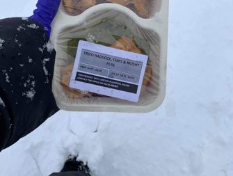 Food Angels In The Snow Scaled